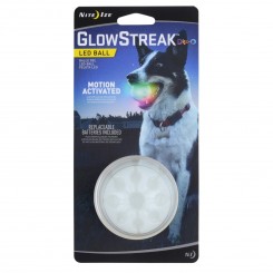 Led bold GolwStreak