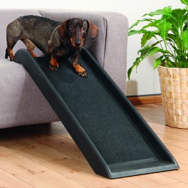 Rampe til hunde, 38 x100 cm