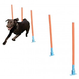 Agility slalom