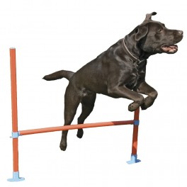 Agility hop forhindring stang