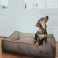 Lancaster Hunter hundeseng Brun
