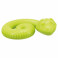 Snack SLANGE