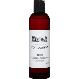 Companion 2 in 1 shampoo