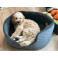 Nordiv pawx Jagt fleece hundeseng, flere størrelser