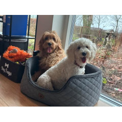 Nordiv Paws Jagt fleece hundeseng, flere størrelser