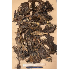 Hjorte Kollagen 1 kg KÆMPEKØB