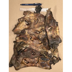 Oksenæser ca 1 kg. KÆMPEKØB