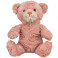 Valentines Day Teddy