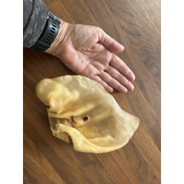 K&aelig;mpe So &oslash;re