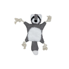 Vaskebjørn raslende