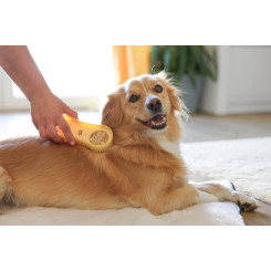 MagicBrush, hunde b&oslash;rste, golden