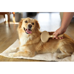 MagivBrush soft Sliker karte