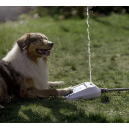 Vandfont&aelig;ne til hunde