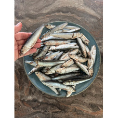 KB Brisling 1 kg