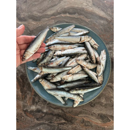 KB Brisling 1 kg