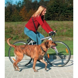 Cykel og Joggingline